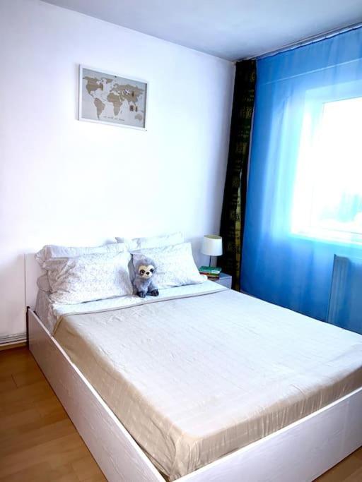Ap 2 Cam Confortabile - Ab House Iasi Buitenkant foto