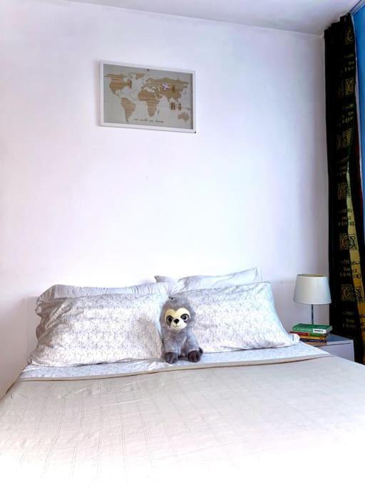 Ap 2 Cam Confortabile - Ab House Iasi Buitenkant foto