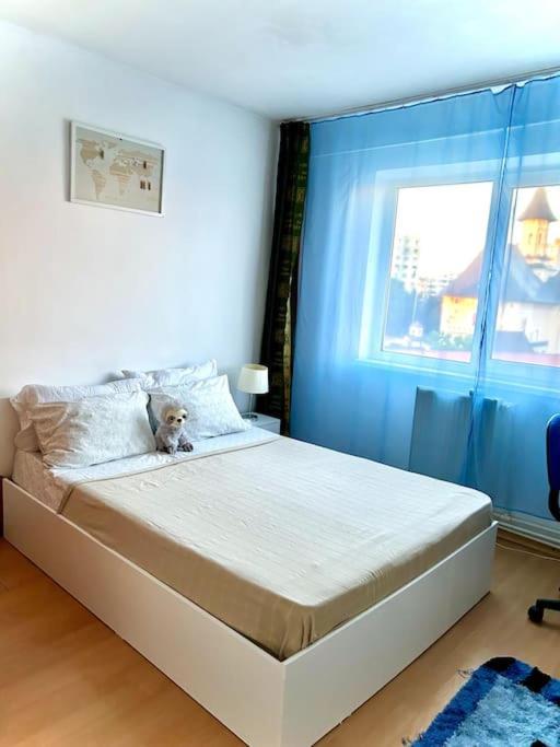 Ap 2 Cam Confortabile - Ab House Iasi Buitenkant foto